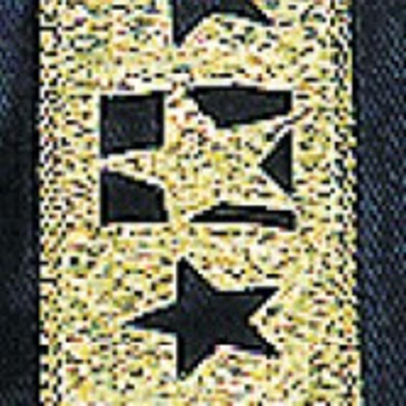 Blue Navy and Gold French Wired Craft Ribbon 1 x 22 Yards