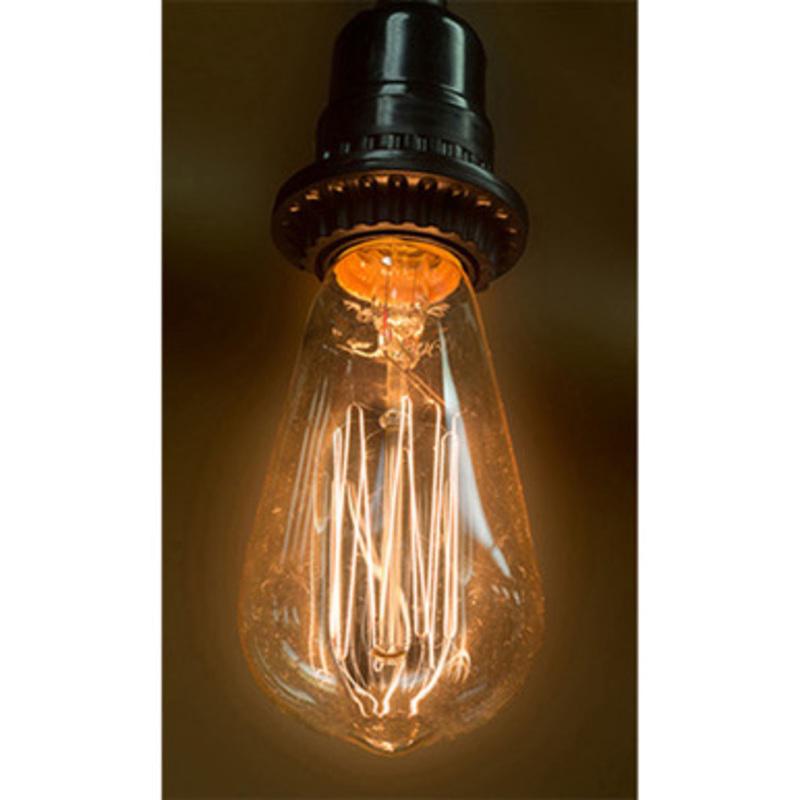 2 x 5 Clear Glass Chelsea Incandescent Edison Bulb
