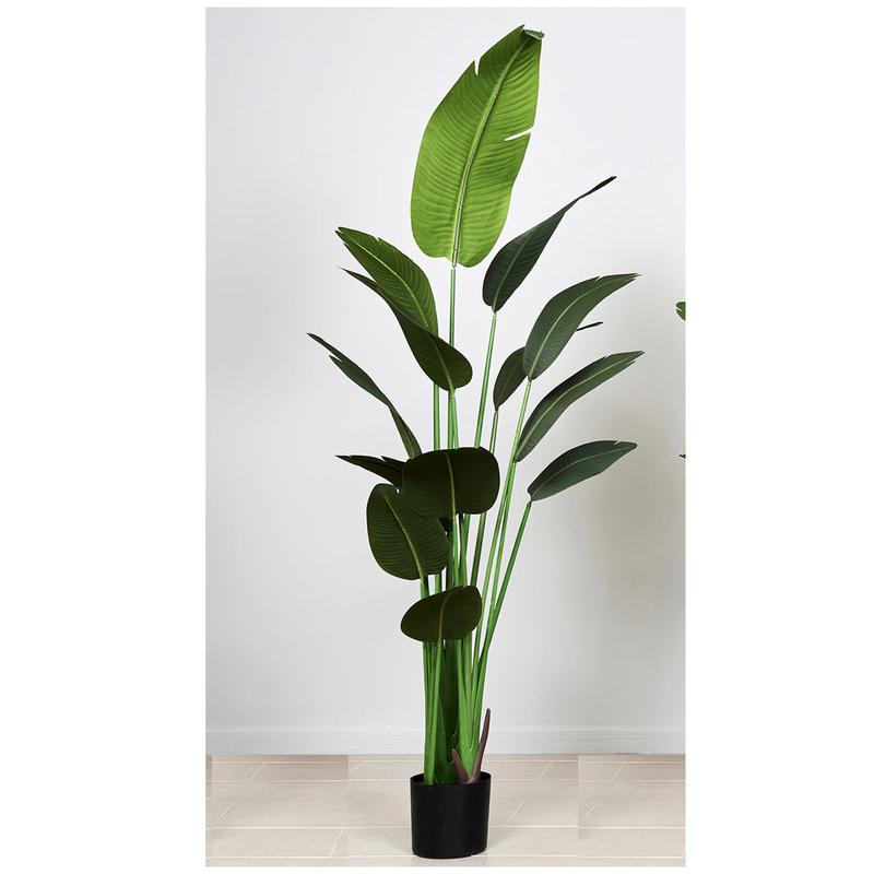 Belda Interiorismo Pianta Albero del viaggiatore artificiale H200 cm