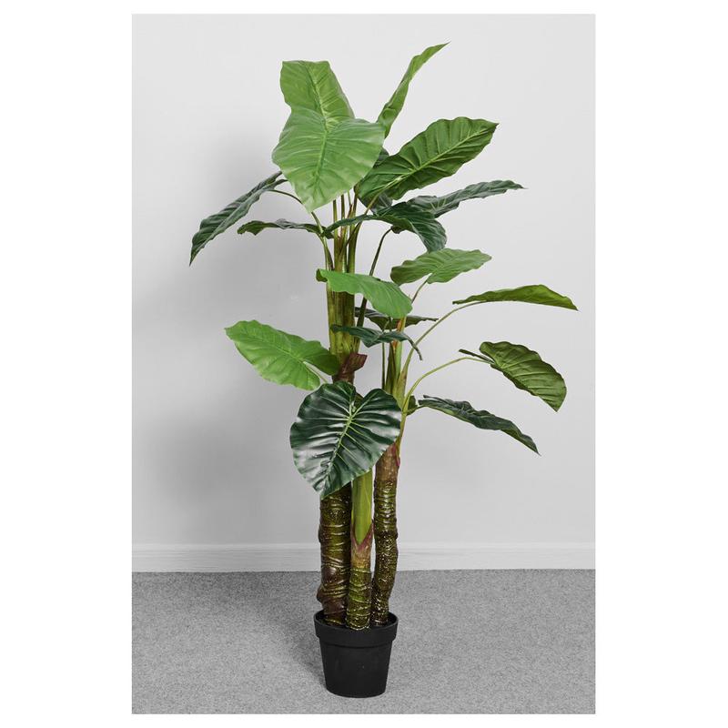 Belda Interiorismo Pianta Albero di Taro artificiale con vaso H150 cm